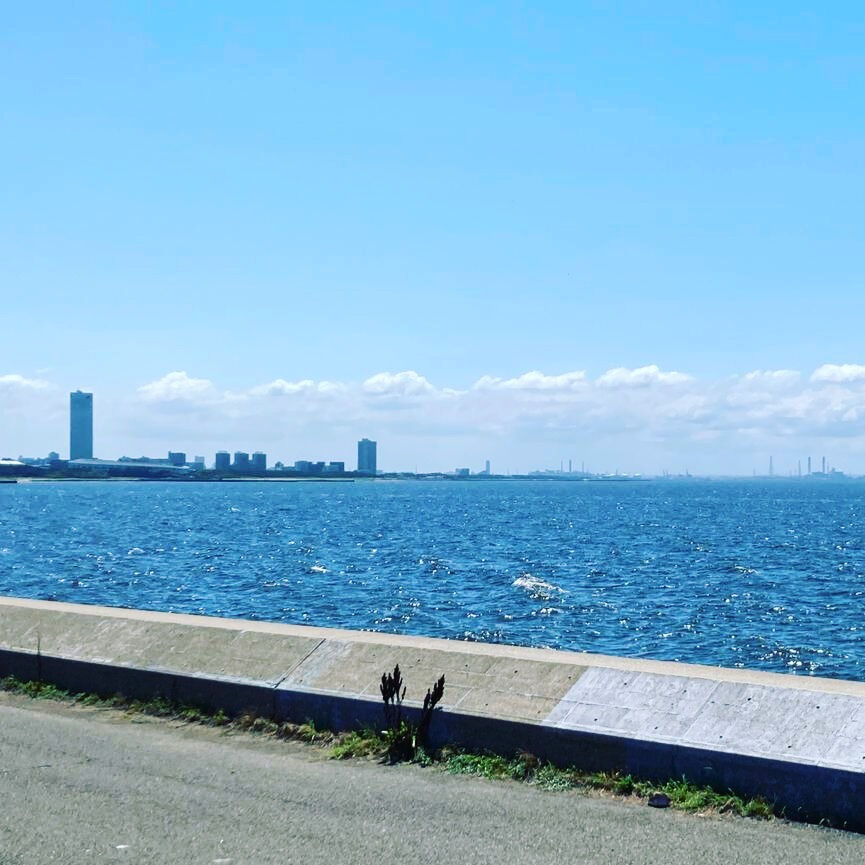 気分転換にお出かけでも行きませんか？　船橋市の介護タクシーなら西船コアラで決まり！