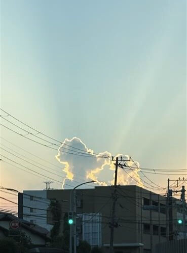仕事の帰り道での一枚📷　船橋市の介護タクシー、西船コアラ🐨　※写真はニワトリ🐔